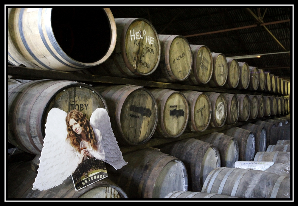 Scotland2010   0939   Y    MG 6414 2 s